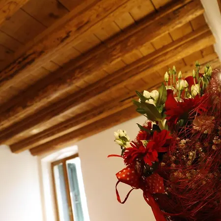 Appartamento Luzzo 15 Feltre